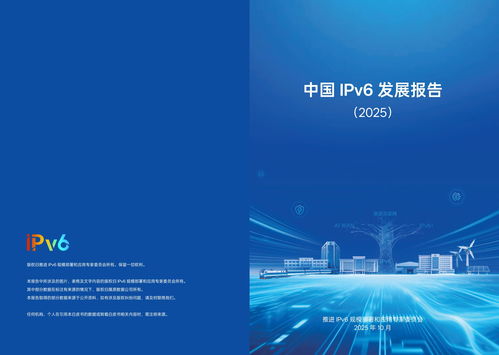 IPv6在我國(guó)實(shí)現(xiàn)跨越式突破 網(wǎng)絡(luò)技術(shù)開發(fā)驅(qū)動(dòng)2025年活躍用戶達(dá)8.65億